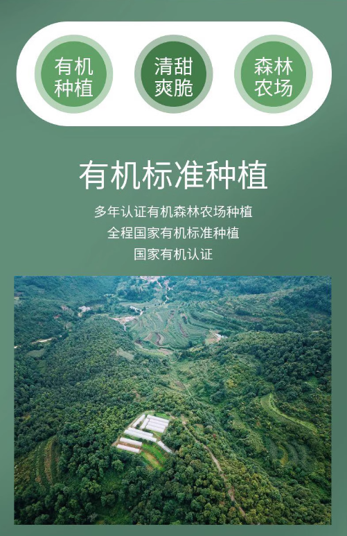 1741050096439230.png image.png